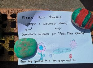 Two green and red painted rocks holding down a piece of paper which says "please help yourself. Pepper and cucumber plants. Donations welcome for Paul's Place Charity."