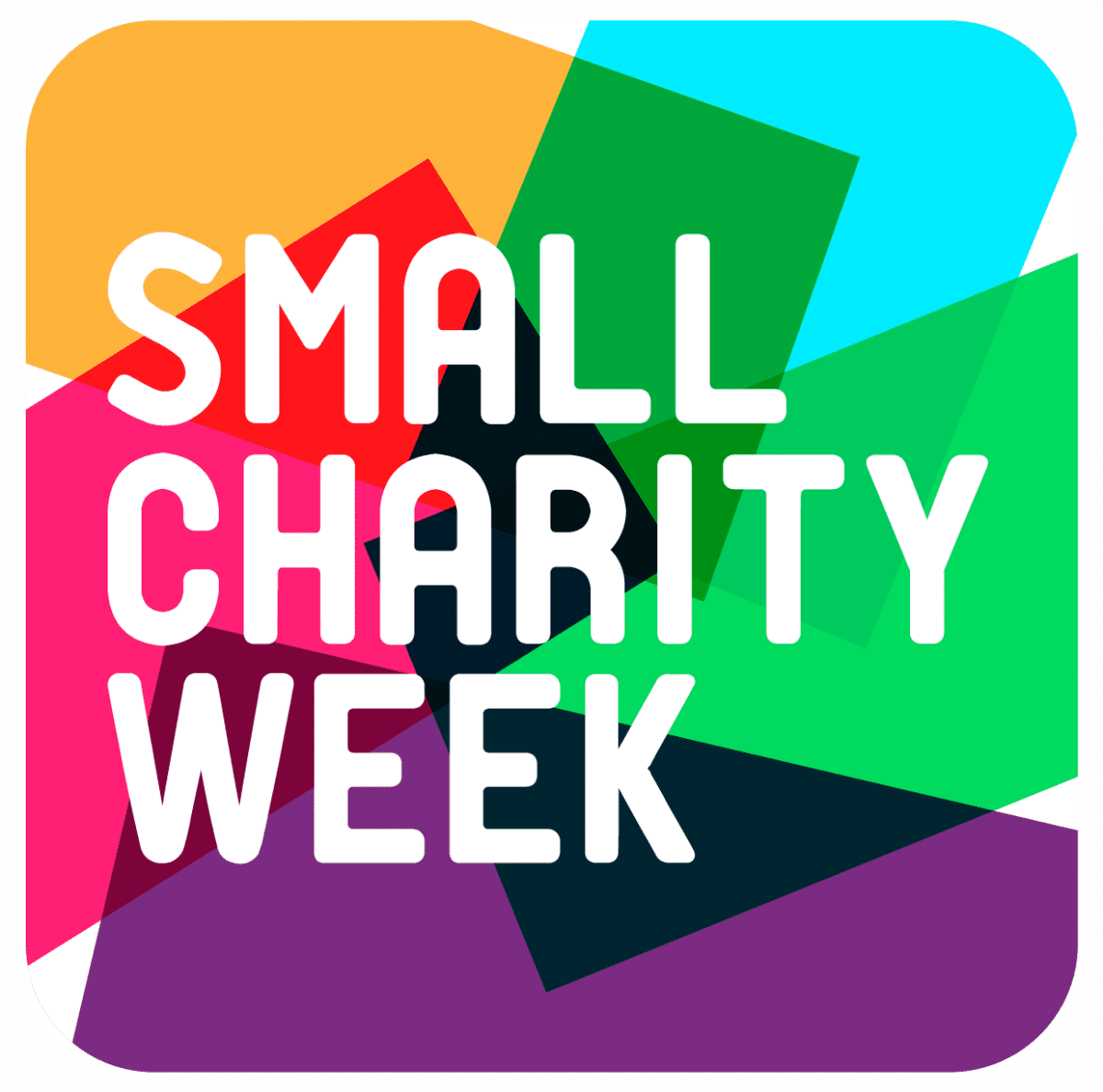 Paul’s Place Celebrates Small Charity Week 2024 Paul's Place